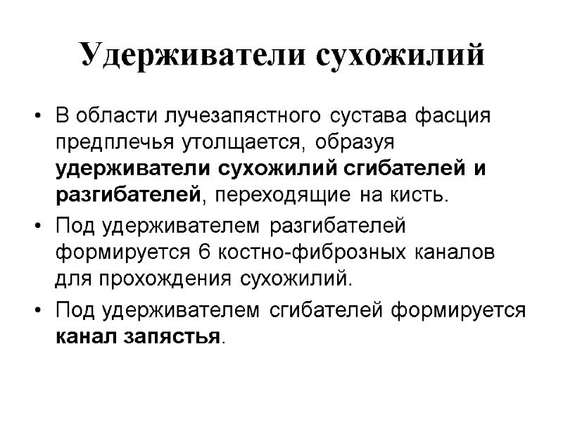 Удерживатели сухожилий В области лучезапястного сустава фасция предплечья утолщается, образуя удерживатели сухожилий сгибателей и